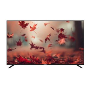Nasco 32 LED Digital Satellite Television NAS-B32FBFL